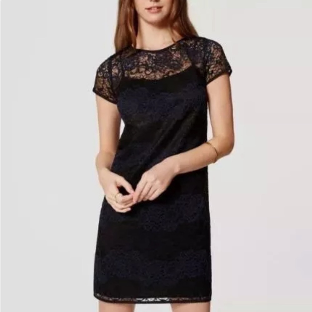 Loft lace shift dress black and blue stripes 2